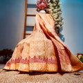 Traditional embroidered saree with a decorative background